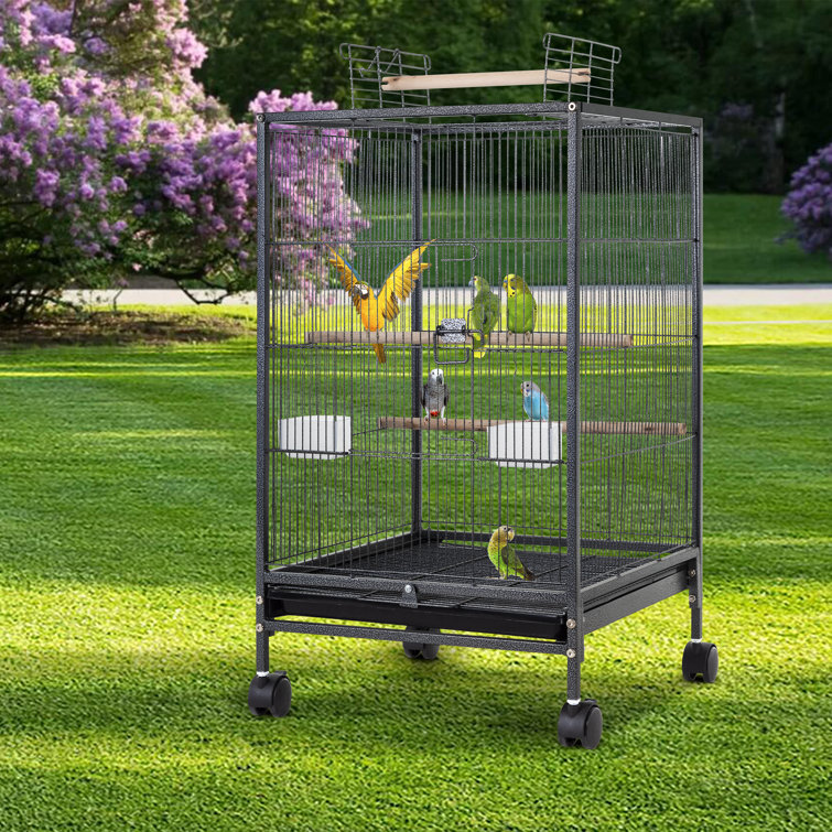 Williston 35Inch Wrought Iron Bird Cage With Play Open Top And